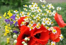 Гороскоп от Ирины Богдан на 2 августа 2022 года для всех знаков зодиака