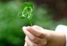 Как привлечь счастье и деньги в сентябре 2022 года: советы астрологов