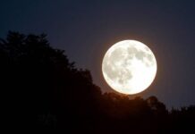 Каким знакам зодиака полнолуние 10 сентября 2022 года принесет удачу, а кому сплошные неприятности