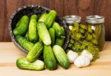 Лайфхаки, которые помогут надолго сохранить огурцы свежими