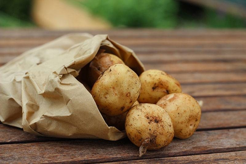 <br />
Медики назвали самый полезный способ приготовления картофеля                