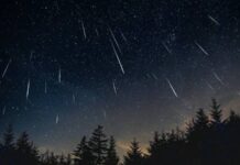 Метеорный поток Персеид в августе 2022 года: когда ожидается пик звездопада