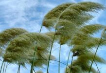 Михей-тиховей: приметы и поверья 27 августа 2022 года, что нельзя делать в этот день