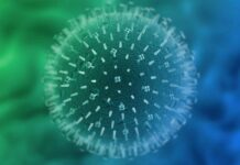 Насколько опасен для мира новый вирус из Китая: основные симптомы заболевания