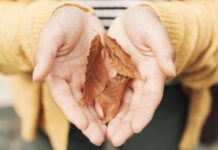 Настройтесь на волну успеха. Самые удачные дни для загадывания желаний в сентябре 2022 года