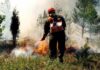 Огненное лето: почему Россию накрывает волна пожаров в 2022 году