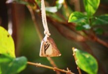 Рунический гороскоп от Игоря Вечерского на неделю с 8 по 14 августа 2022 года