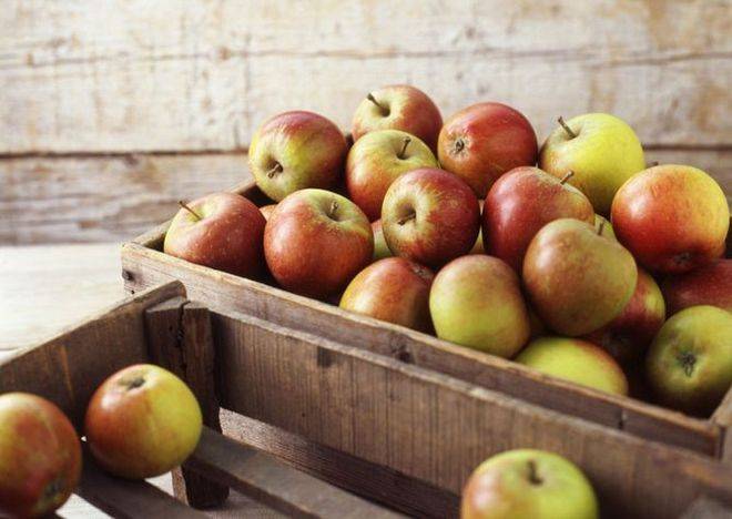 <br />
Секреты длительного хранения яблок в квартире и погребе: полезные советы опытных садоводов                