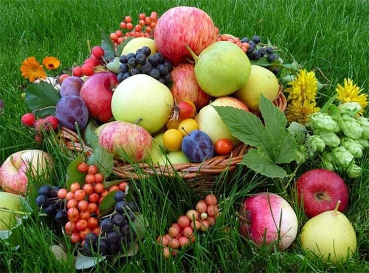 <br />
Традиции Яблочного Спаса 19 августа: что можно освящать в церкви, кроме яблок                