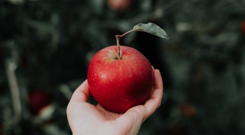 <br />
Традиции Яблочного Спаса 19 августа: что можно освящать в церкви, кроме яблок                