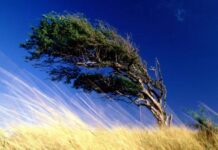 Зачем на Руси 21 августа на Мирона Ветрогона ходили на перекрестки