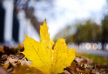 Гороскоп от Ирины Богдан на 15 сентября 2022 года для всех знаков зодиака