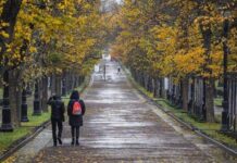 Гороскоп от Ирины Богдан на 24 сентября 2022 года для всех знаков зодиака