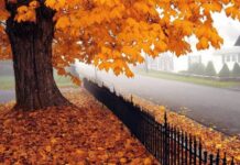 Гороскоп от Ирины Богдан на 30 сентября 2022 года для всех знаков зодиака