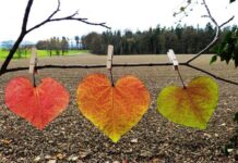 Гороскоп от Ирины Богдан на 4 сентября 2022 года для всех знаков зодиака