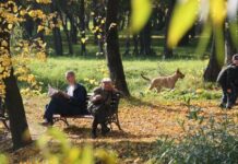 Гороскоп от Ирины Богдан на 8 сентября 2022 года для всех знаков зодиака