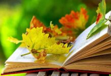 Гороскоп от Сергея Седашева на неделю с 5 по 11 сентября 2022 года для всех знаков зодиака