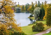 Гороскоп удачи: совет дня каждому знаку зодиака на 12 сентября 2022 года