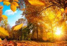 Каким будет прогноз погоды на конец сентября и весь октябрь 2022 года в России