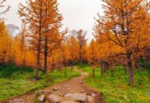 Какой народный праздник отмечают 22 сентября 2022 года, приметы и главные запреты дня