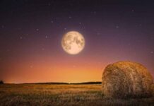 Урожайное полнолуние в сентябре 2022 года: когда оно ожидается и что означает