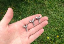 Винты-барашки: особенности и сфера применения