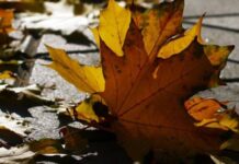 Что можно и что нельзя делать 1 ноября, в праздник преподобного Иоанна Рыльского