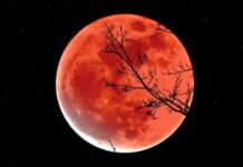 Держать эмоции под контролем: какие поступки могут негативно повлиять на судьбу в Кровавое полнолуние 9 октября 2022 года