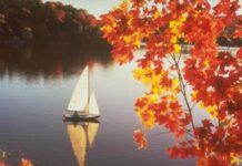 Гороскоп карьеры и денег на сегодня, 31 октября 2022 года