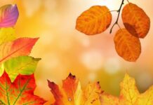 Гороскоп от Ирины Богдан на 14 октября 2022 года для всех знаков зодиака