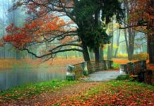 Гороскоп от Ирины Богдан на 5 октября 2022 года для всех знаков зодиака