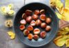 Как вкусно готовить съедобные каштаны: лучшие рецепты приготовления изысканного деликатеса