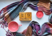 Какой праздник отмечают в России и мире сегодня, 29 октября 2022 года