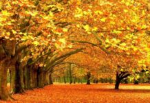 Какой сегодня, 31 октября 2022 года, праздник в России и мире