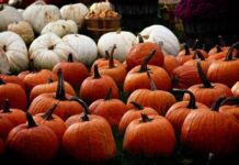 Празднование Хэллоуина в 2022 году: как и почему отмечают Канун Дня всех святых