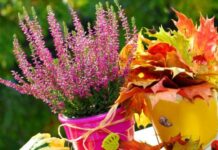 День богини Доли 24 ноября 2022 года: как заручиться ее поддержкой и изменить свою судьбу