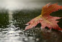 Гороскоп от Ирины Богдан на 16 ноября 2022 года для всех знаков зодиака