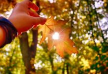 Гороскоп от Ирины Богдан на 19 ноября 2022 года для всех знаков зодиака