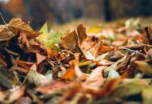 Гороскоп от Ирины Богдан на 9 ноября 2022 года для всех знаков зодиака