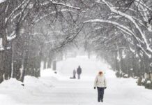 Какой будет зима в 2022—2023 году в России и Европе: точный прогноз погоды