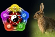 Карьерный взлет и новая любовь: какие перемены произойдут в жизни знаков зодиака в 2023 году