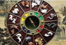 Китайский гороскоп на декабрь 2022 года для всех знаков восточного календаря