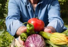 Продавать продукцию потребителям через маркетплейс «Доброед» теперь могут российские фермеры