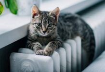 Секреты теплоты: простые способы улучшить нагрев батарей