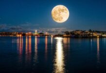 Что делать каждому знаку зодиака в день Холодного полнолуния 8 декабря 2022 года