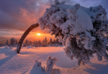 Главные традиции и запреты в день зимнего солнцестояния 21 декабря 2022 года