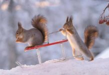 Гороскоп от Ирины Богдан на 18 декабря 2022 года для всех знаков зодиака