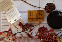 Какие праздники отмечают в России и мире сегодня, 8 декабря 2022 года