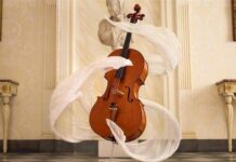 Какой праздник отмечают в разных странах сегодня, 29 декабря 2022 года