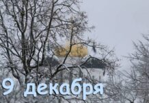 Какой праздник отмечают в России и мире сегодня, 9 декабря 2022 года